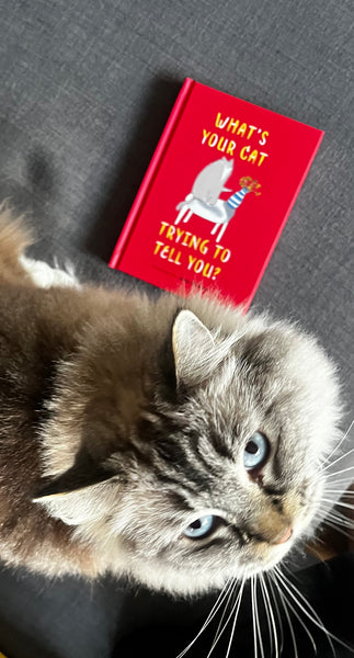 What's Your Cat Trying To Tell You - Book