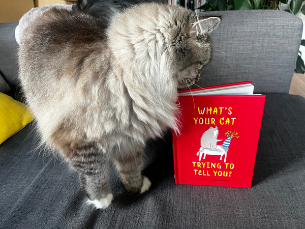 What's Your Cat Trying To Tell You - Book