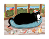 Little Sailor Cat Postcard - Set of 12