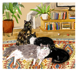 Custom Cat Portrait