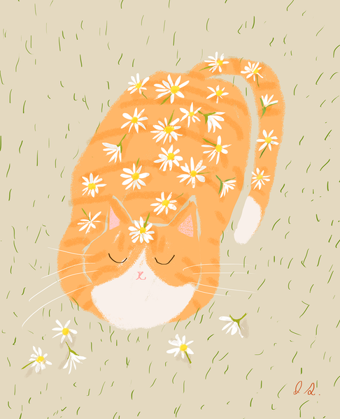 Flower Shower Cat Print