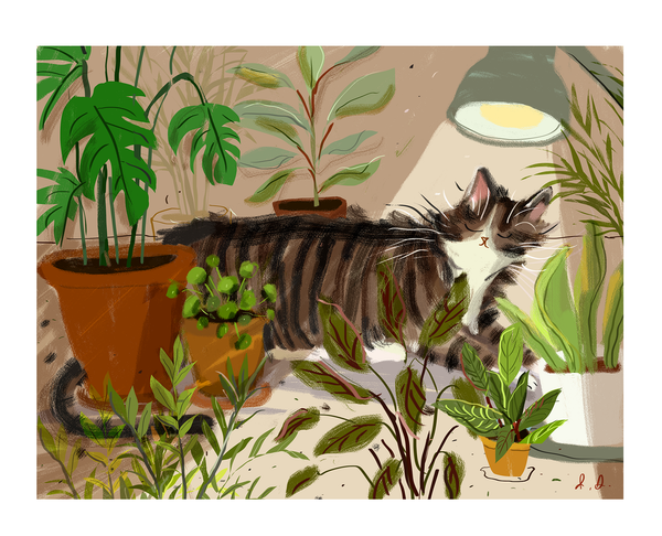 Indoor Plant Baby - Cat Print