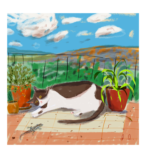Patio Cat Print - Desert Friend