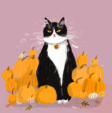 Pumpkin Lover Cat Print