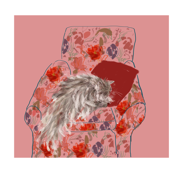 Cat Nap Print - Floral Chair