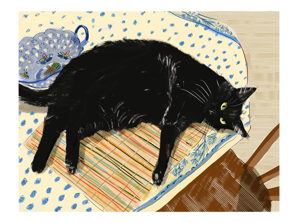 Custom Cat Portrait
