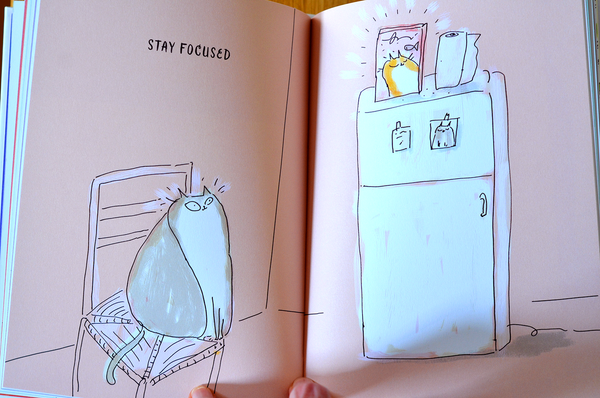 How to Land on Your Feet- Life Lessons From My Cat - Book