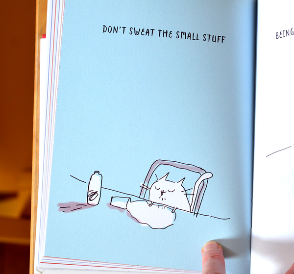 How to Land on Your Feet- Life Lessons From My Cat - Book