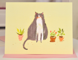 The Dancing Cat Flower Card Set - Mixed Set of 10 Cards