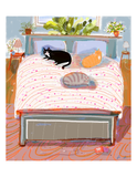 Bed Cats - Print