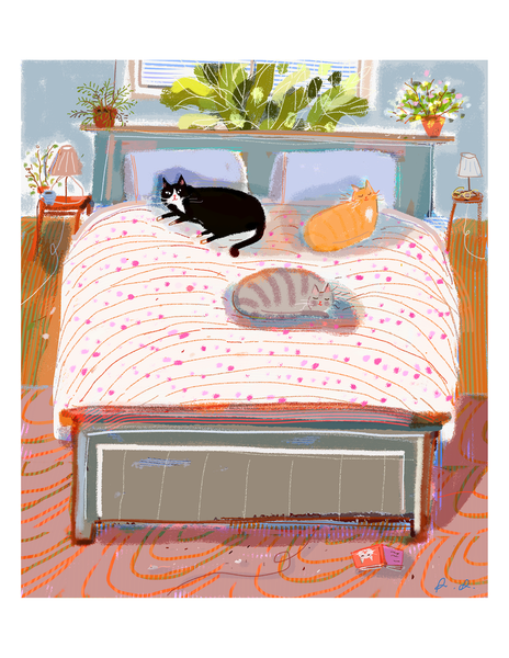 Bed Cats - Print