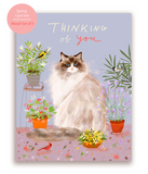 Mixed Set of 5 Spring Cat Cards
