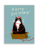 Birthday Box Kitty - Card