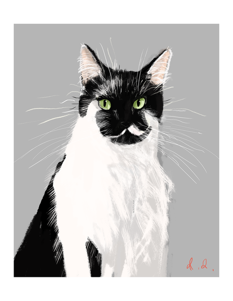 Bear Portrait