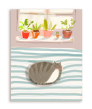 The Dancing Cat Flower Card Set - Mixed Set of 10 Cards
