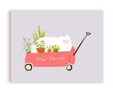 The Dancing Cat Flower Card Set - Mixed Set of 10 Cards