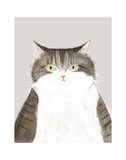 Grey Baby Cat Print - Large Print