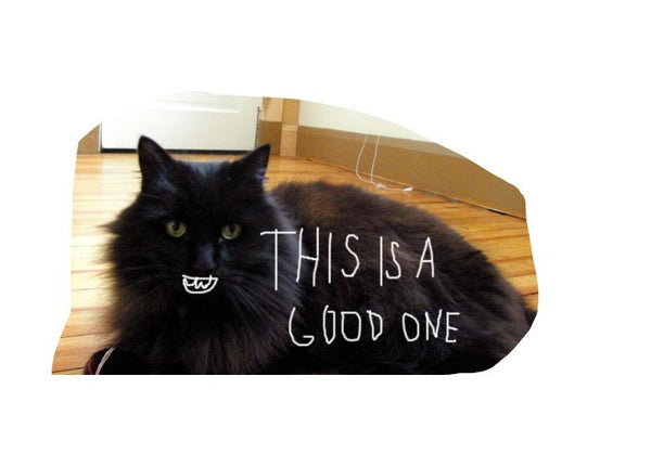 Cat Alphabet - Typorgraphy Print - Cat Gift