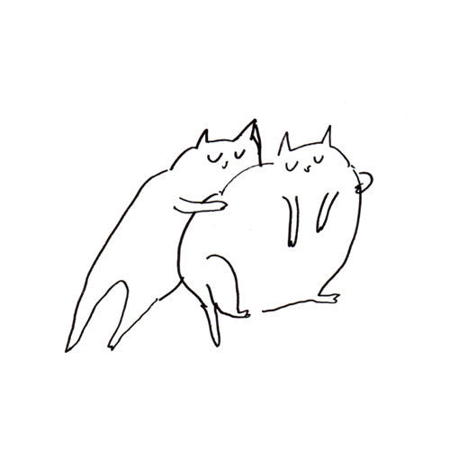 Cat Squeeze- Fine Art Print