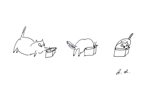Cat in Box 2 Print