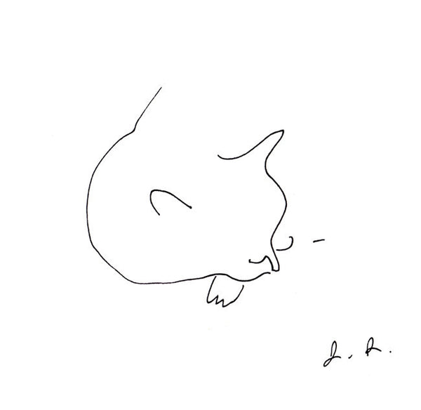 Cat Nap Print - Nike