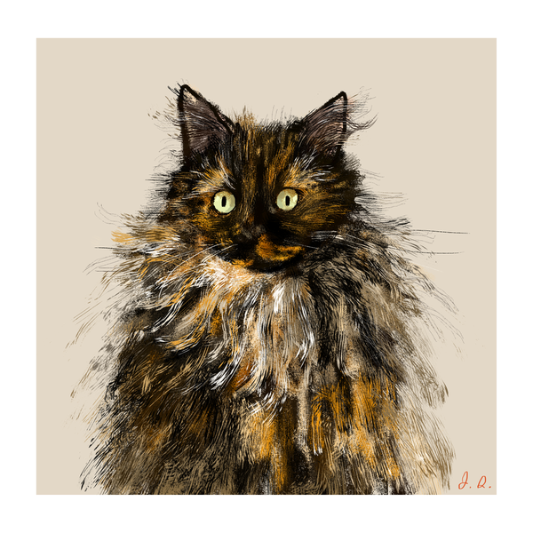Floof Cat Print
