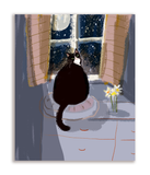 The Dancing Cat Flower Card Set - Mixed Set of 10 Cards