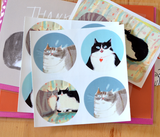 Cat Stickers
