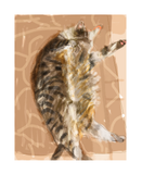 Sun Bun Cat Print