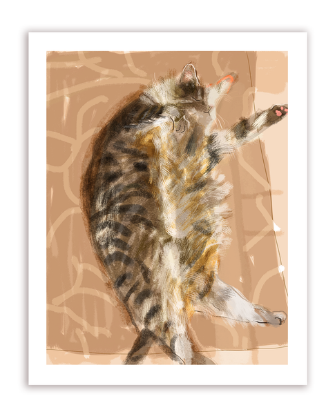 Sun Bun Cat Print