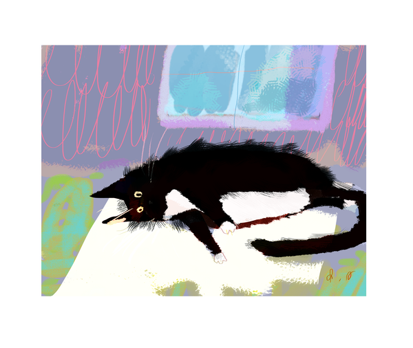 Void Vibes- Cat Print